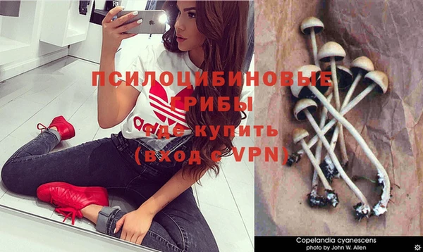 бутират Ельня