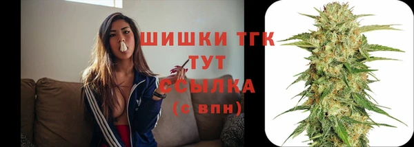 бутират Ельня
