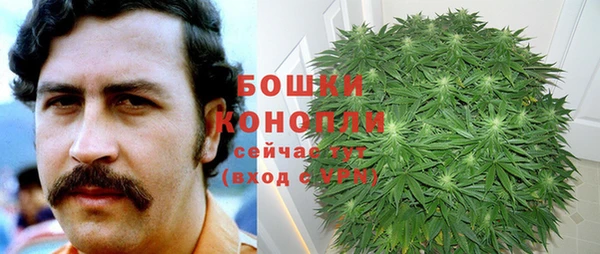 бутират Ельня