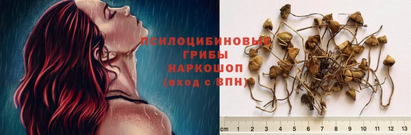 бутират Ельня