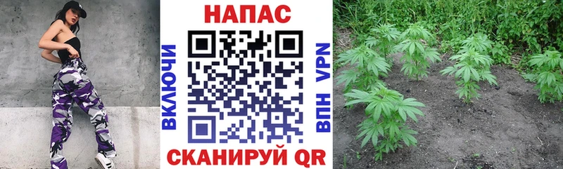 Конопля Ganja  Купить где  Партизанск 